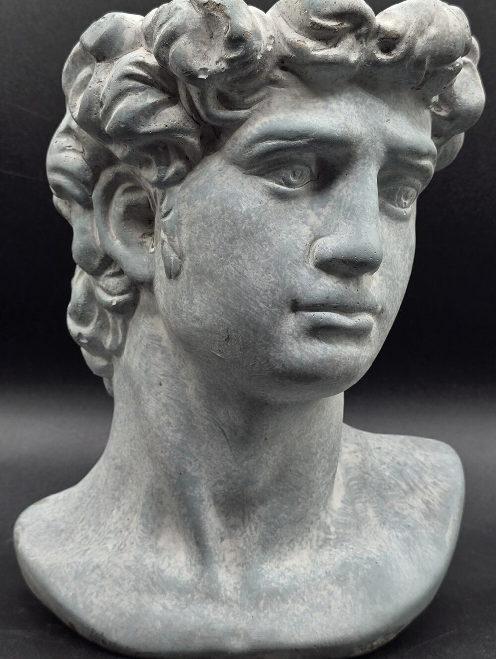 Michelangelos David Planter Sculpture